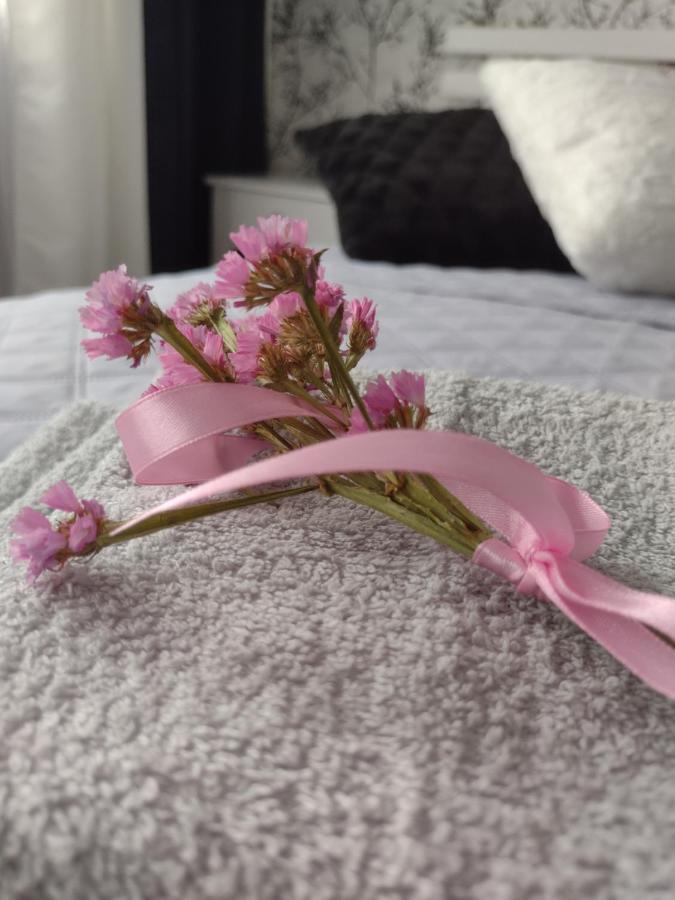 Apartament Nad Jeziorakiem Ilawa Esterno foto