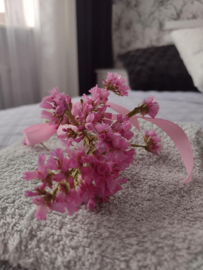 Apartament Nad Jeziorakiem Ilawa Esterno foto